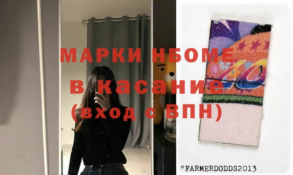 шишки Гусиноозёрск