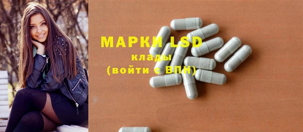 шишки Гусиноозёрск