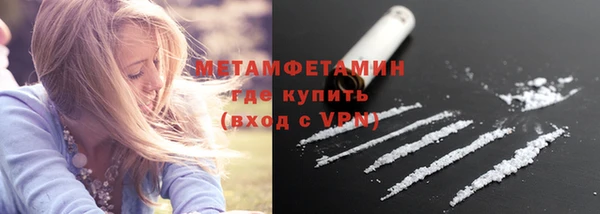 шишки Гусиноозёрск