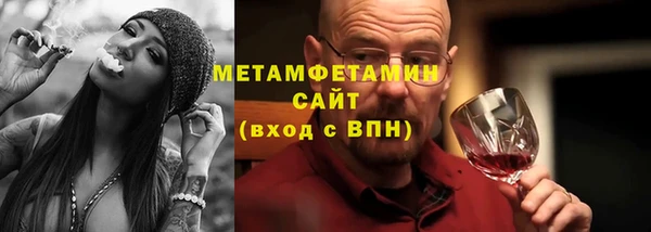 шишки Гусиноозёрск