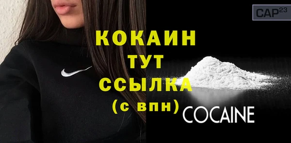 шишки Гусиноозёрск