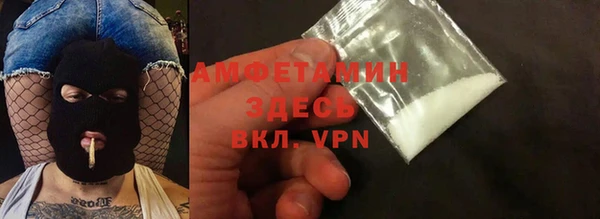 ГАЛЛЮЦИНОГЕННЫЕ ГРИБЫ Гусев