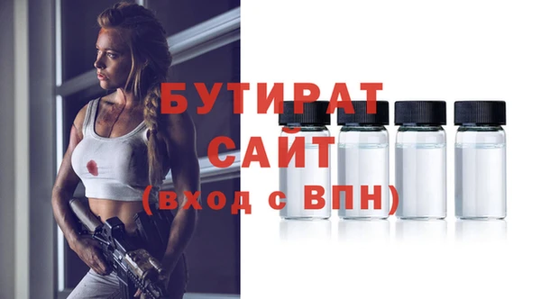 шишки Гусиноозёрск