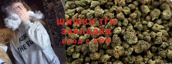 ГАЛЛЮЦИНОГЕННЫЕ ГРИБЫ Гусев