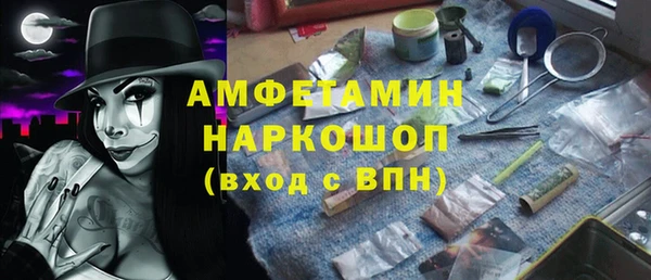 шишки Гусиноозёрск