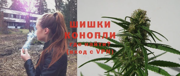 шишки Гусиноозёрск