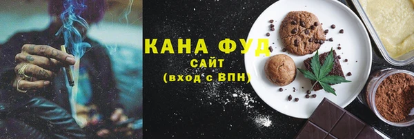 ГАЛЛЮЦИНОГЕННЫЕ ГРИБЫ Гусев