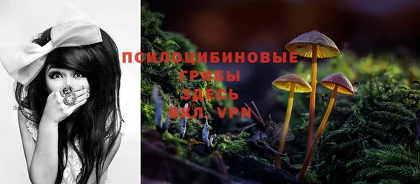 кокаин Гусь-Хрустальный