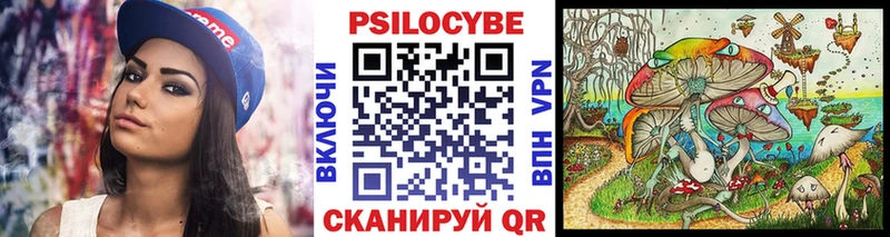 Галлюциногенные грибы Cubensis  магазин    Жердевка 